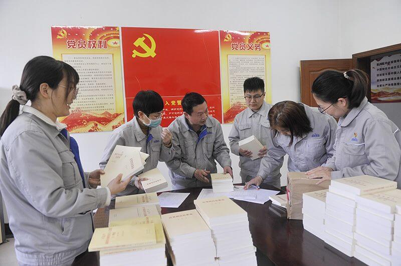 公司党委深刻发展学习贯彻习近平新时期中国特色社会主义思想主题教育