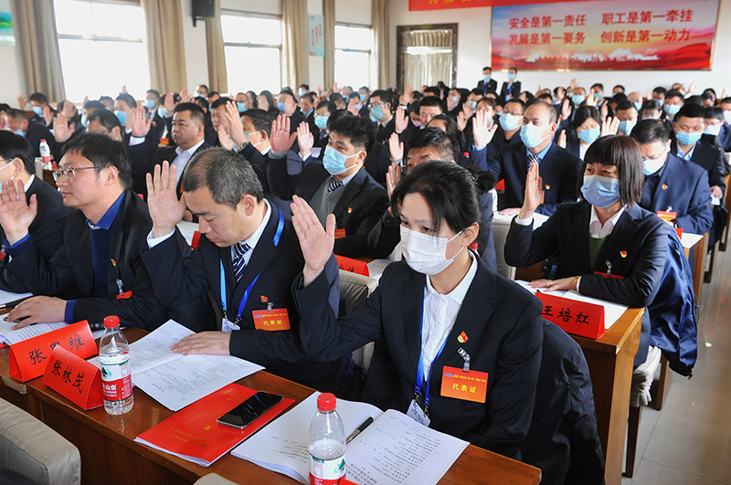 代表举腕表决